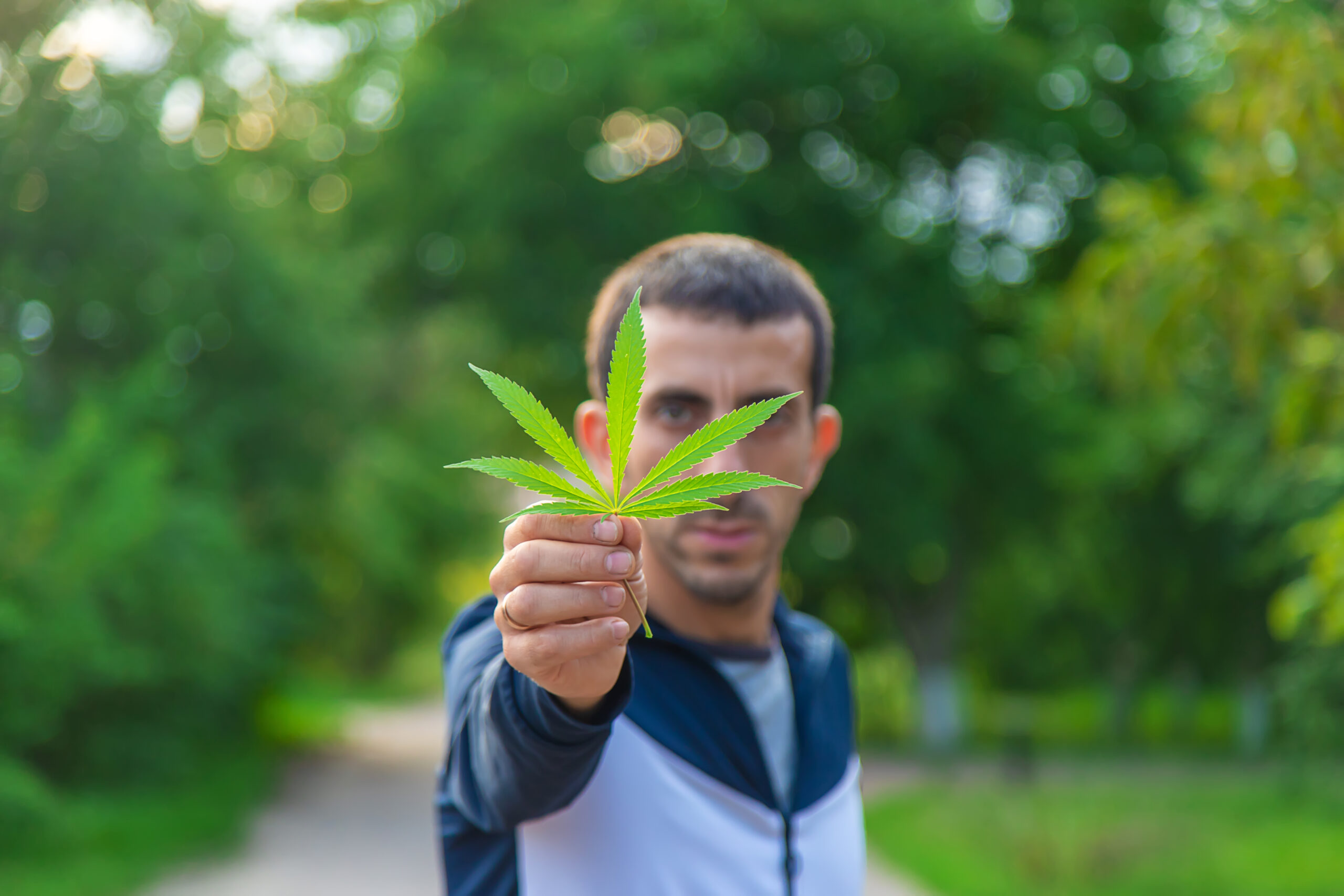 a man holding up a cannabis leaf highlighting the need for weed addiction treatment